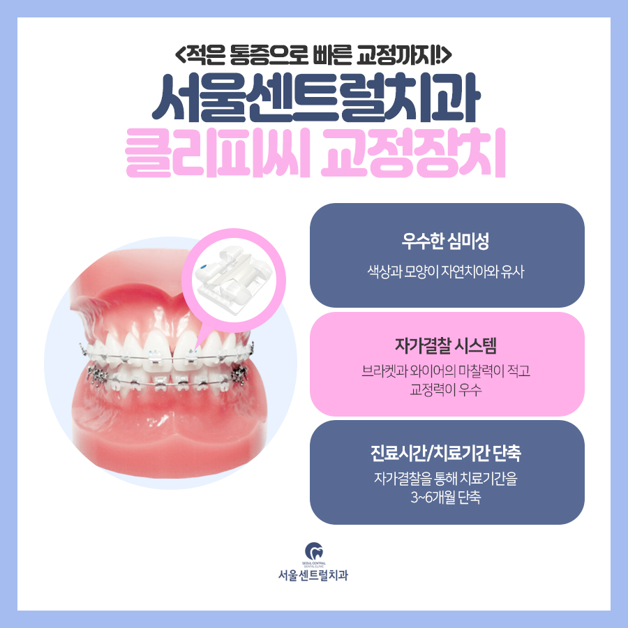 자가결찰장치