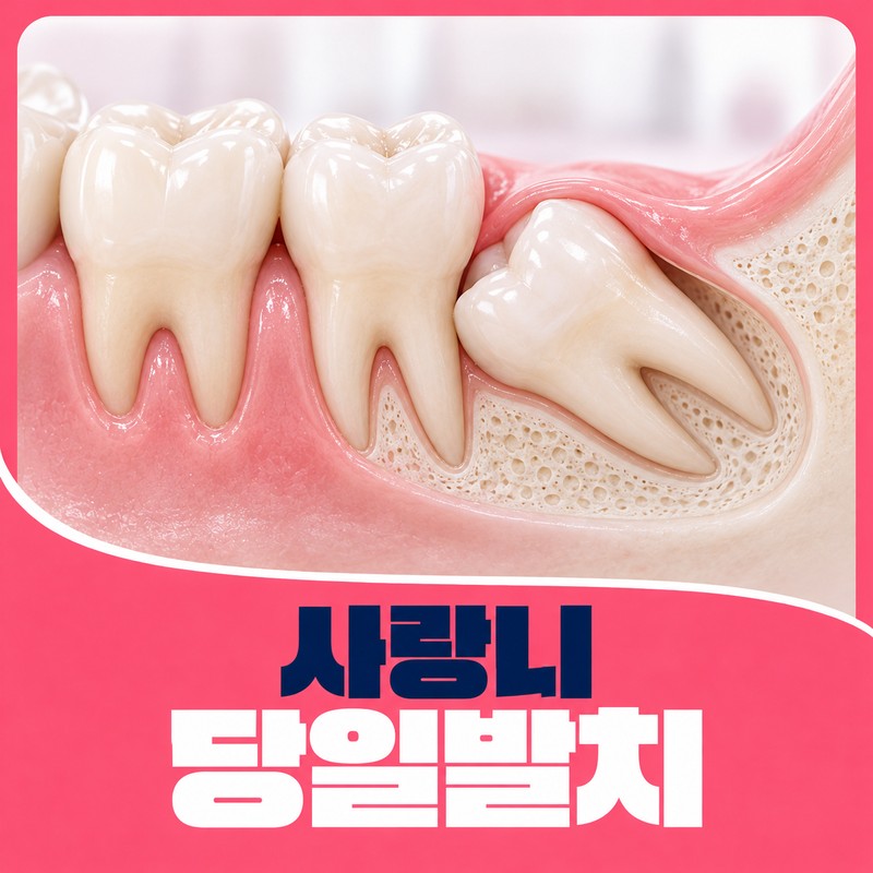 처인구치과 - 서울센트럴치과의원